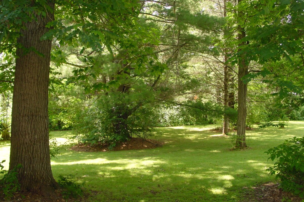 W10529 US Highway 8, Ladysmith WI 54848 - Residential house for sale - MLS #1603124 - image34