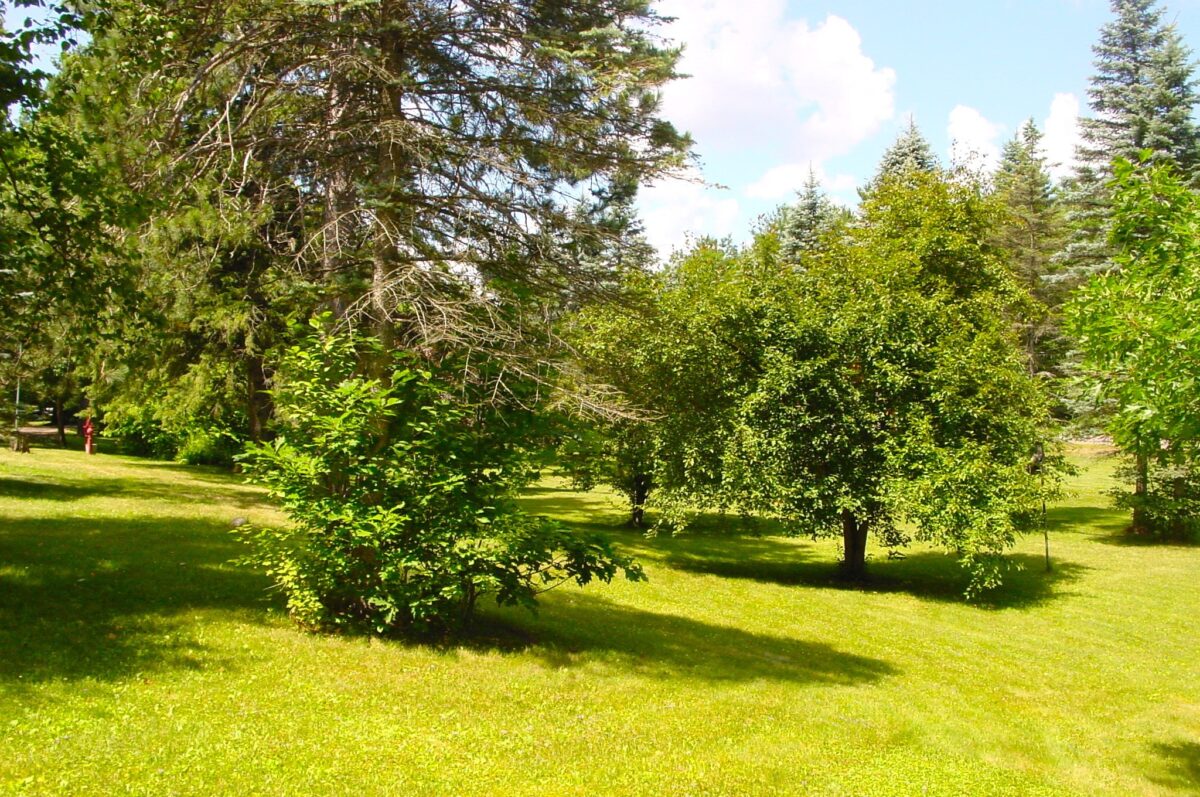 W10529 US Highway 8, Ladysmith WI 54848 - Residential house for sale - MLS #1603124 - image7