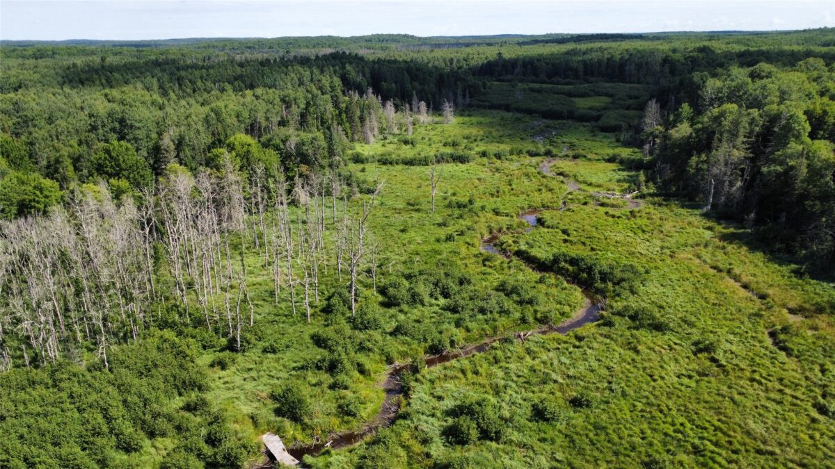 W10816 BERGMAN RD., Merrill WI 54452 - Land house for sale - MLS #1603520 - image13