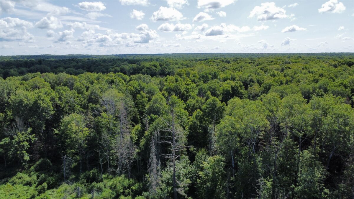 W10816 BERGMAN RD., Merrill WI 54452 - Land house for sale - MLS #1603520 - image15