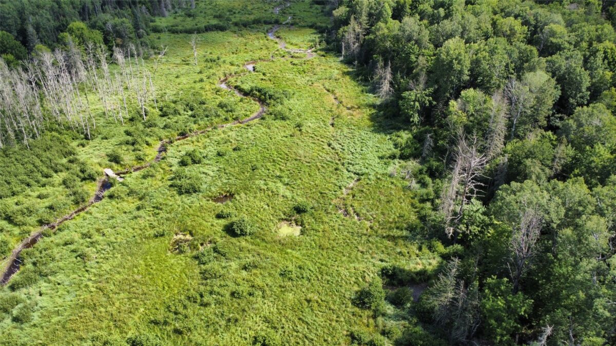 W10816 BERGMAN RD., Merrill WI 54452 - Land house for sale - MLS #1603520 - image22