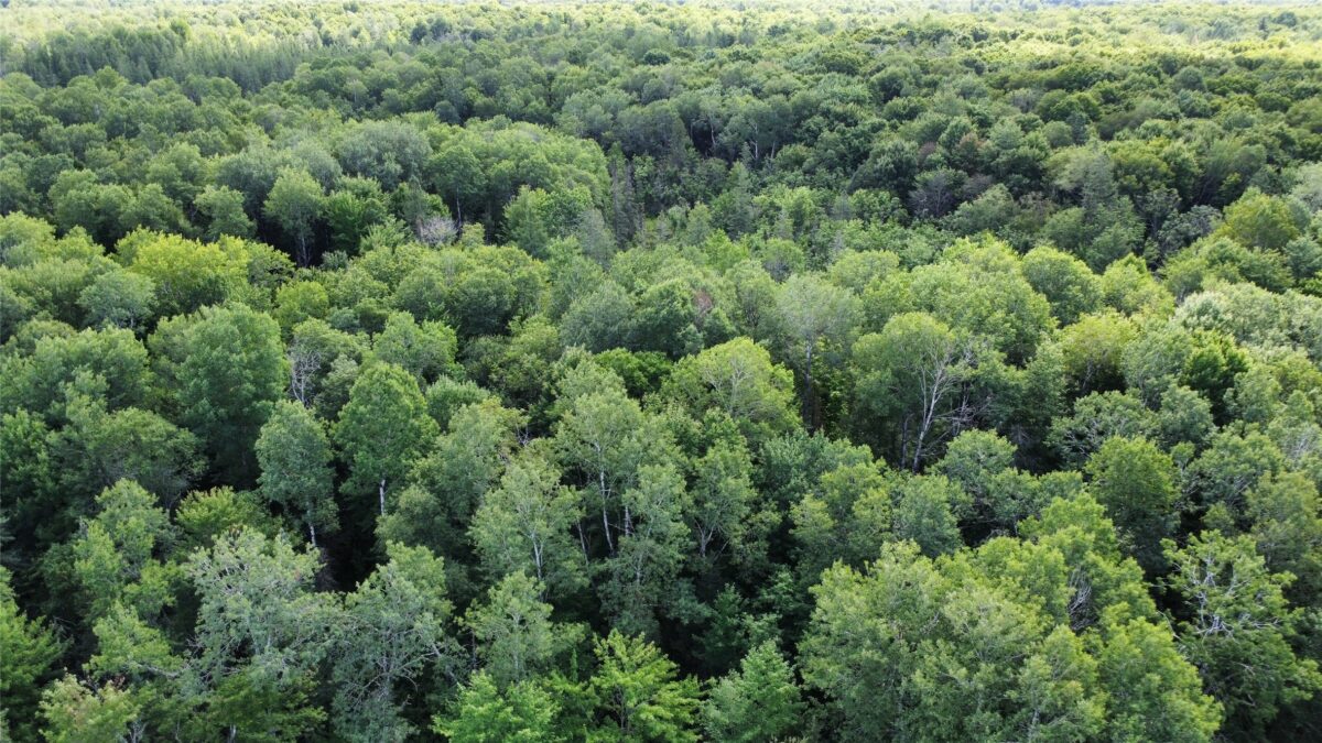 W10816 BERGMAN RD., Merrill WI 54452 - Land house for sale - MLS #1603520 - image23
