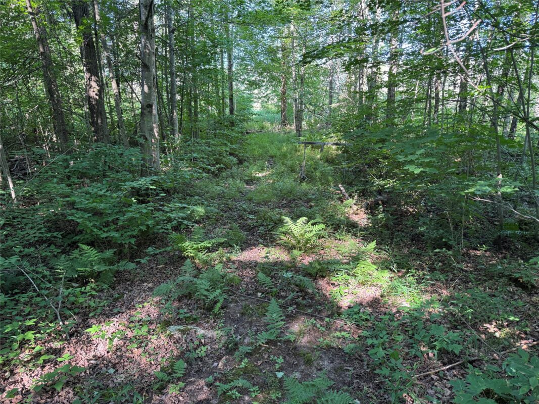 W10816 BERGMAN RD., Merrill WI 54452 - Land house for sale - MLS #1603520 - image26