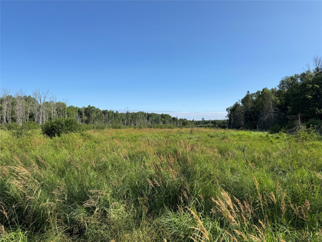 W10816 BERGMAN RD., Merrill WI 54452 - Land house for sale - MLS #1603520 - image27