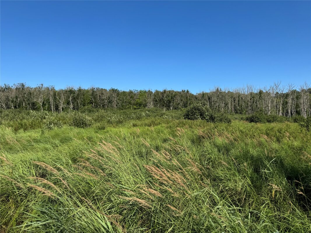 W10816 BERGMAN RD., Merrill WI 54452 - Land house for sale - MLS #1603520 - image28
