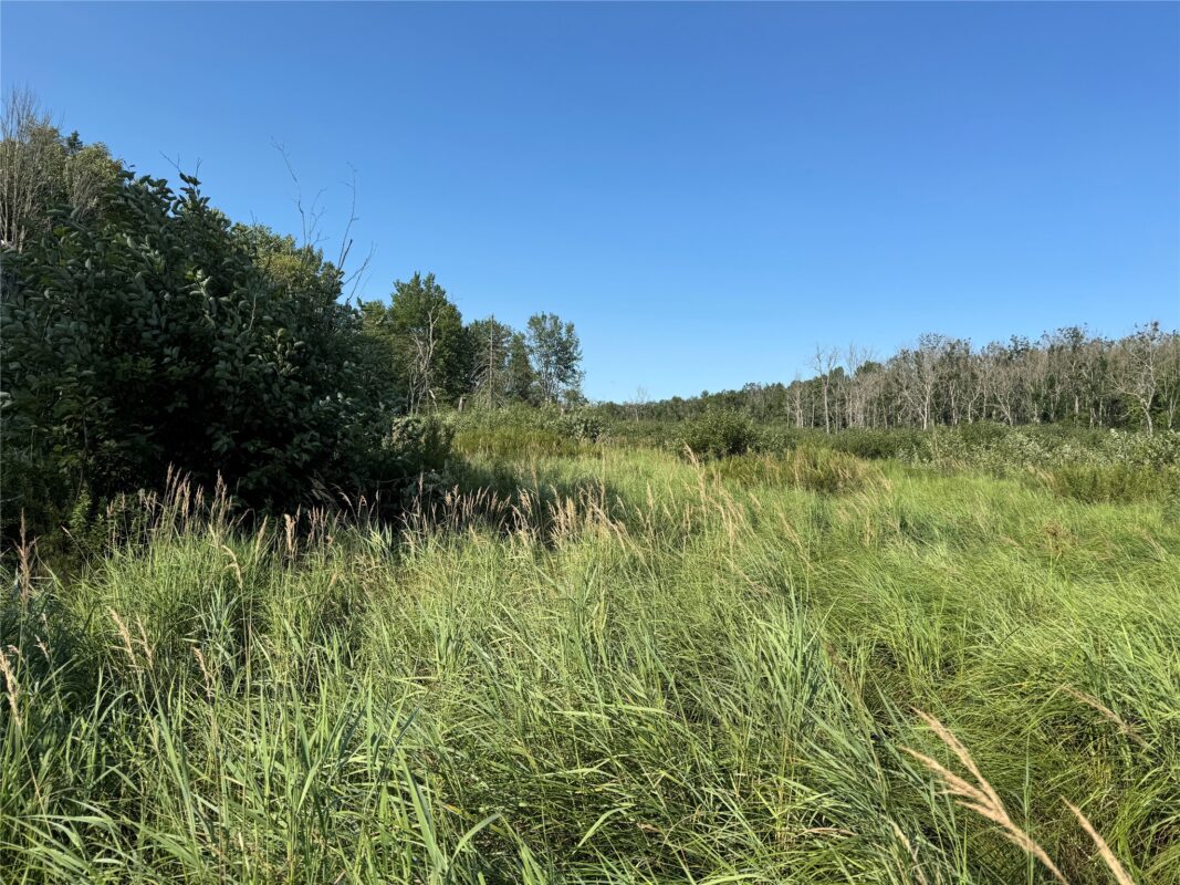 W10816 BERGMAN RD., Merrill WI 54452 - Land house for sale - MLS #1603520 - image29