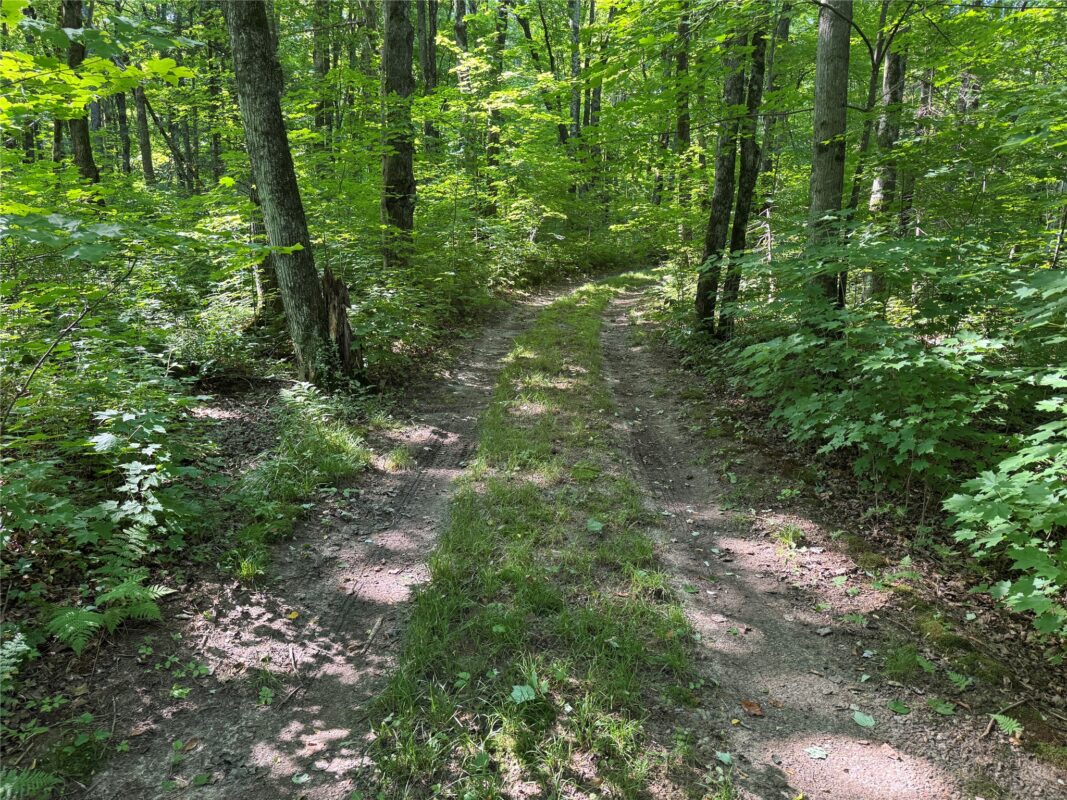 W10816 BERGMAN RD., Merrill WI 54452 - Land house for sale - MLS #1603520 - image34