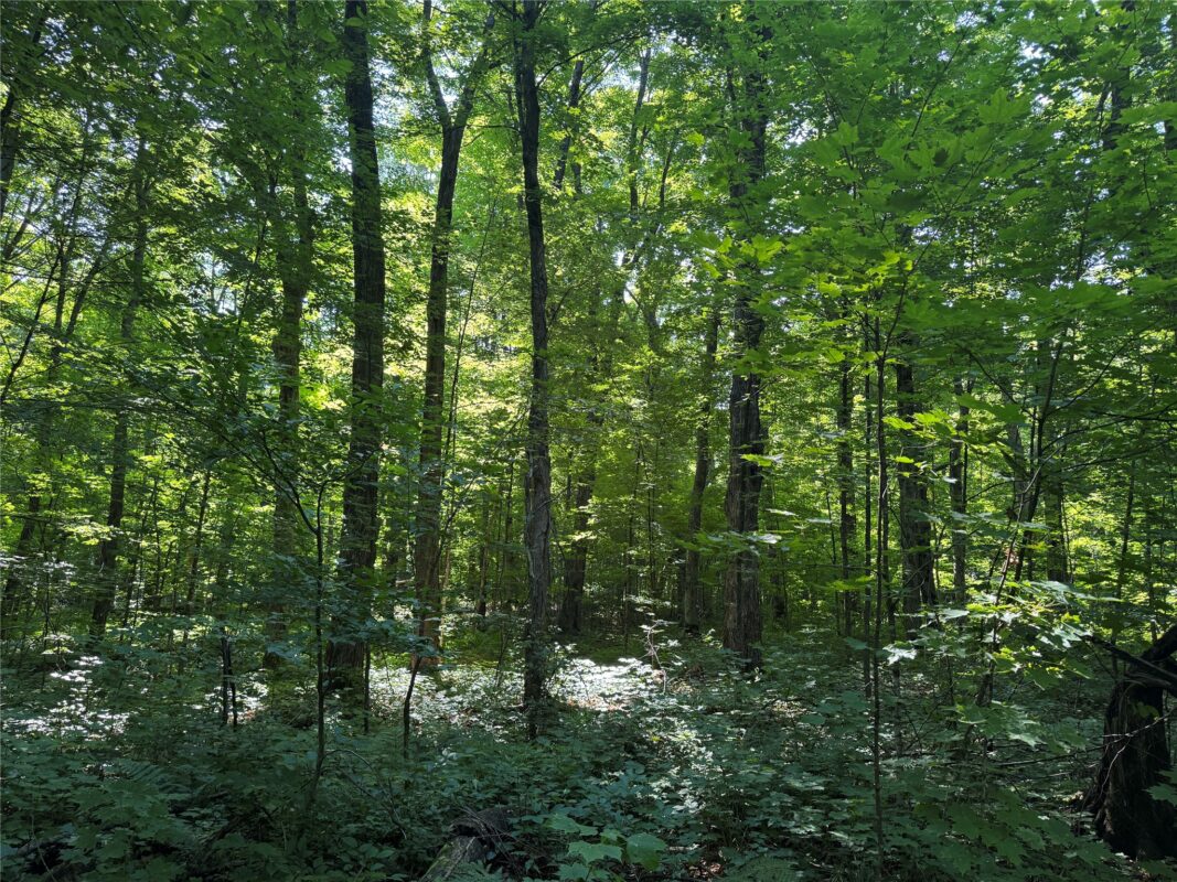 W10816 BERGMAN RD., Merrill WI 54452 - Land house for sale - MLS #1603520 - image35