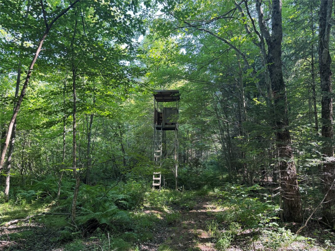 W10816 BERGMAN RD., Merrill WI 54452 - Land house for sale - MLS #1603520 - image37