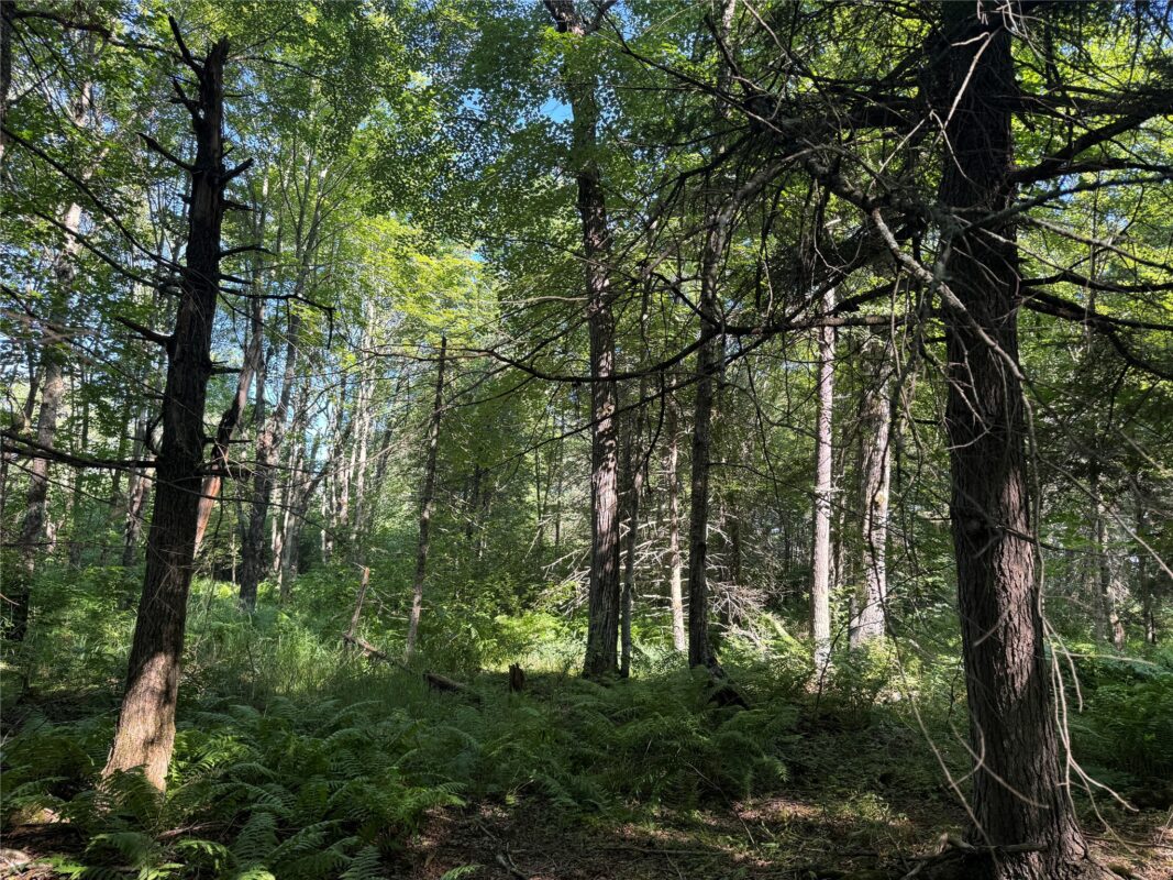 W10816 BERGMAN RD., Merrill WI 54452 - Land house for sale - MLS #1603520 - image38