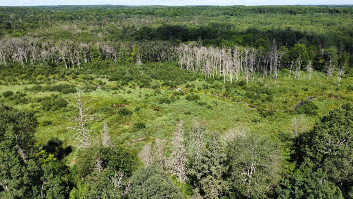 W10816 BERGMAN RD., Merrill WI 54452 - Land house for sale - MLS #1603520 - image10