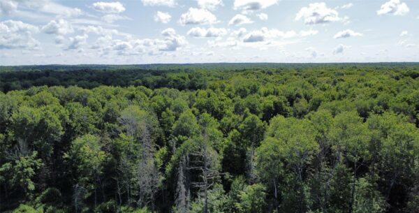 W10816 Bergman Road Merrill WI 54452