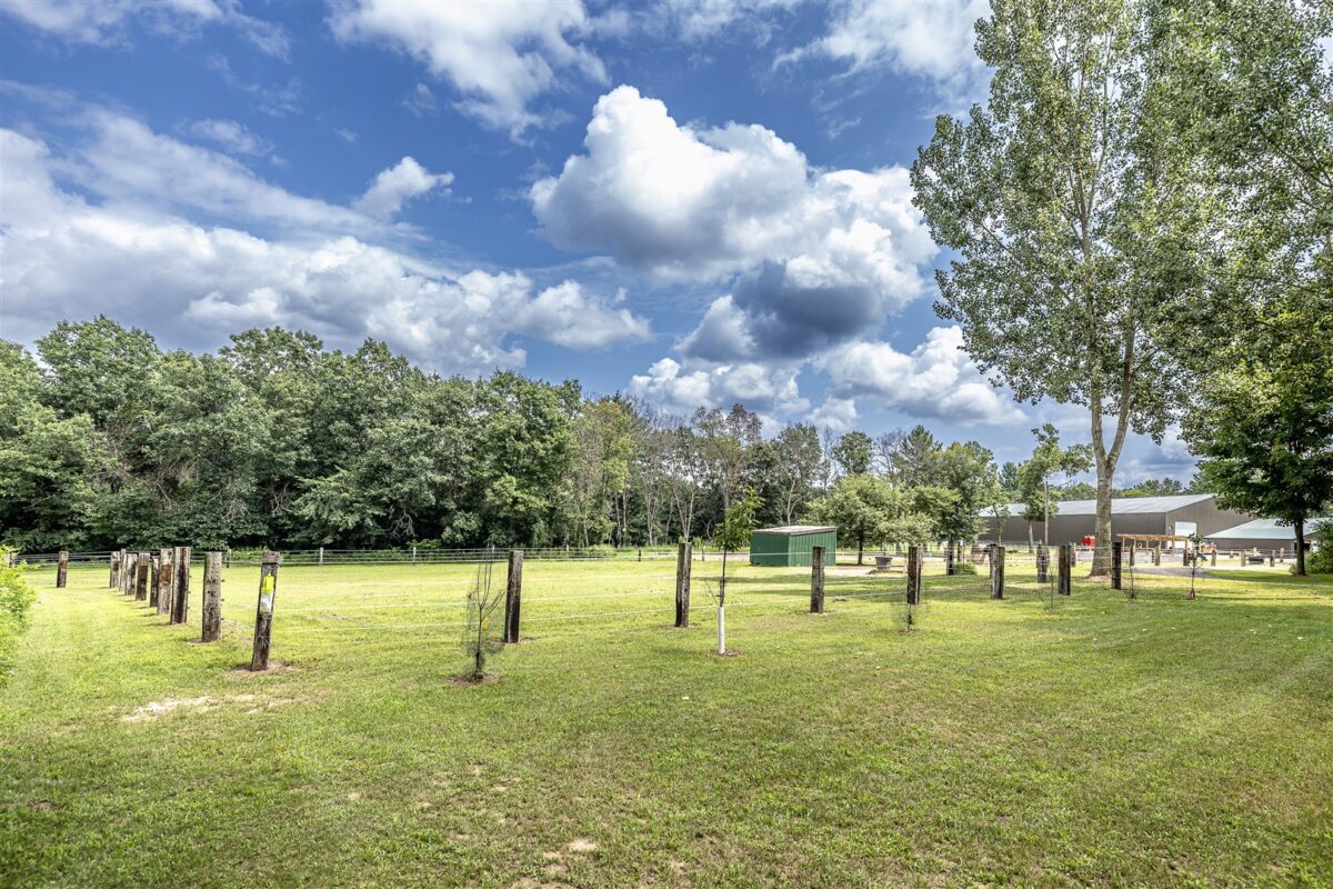 W15236 Taylor Road, Taylor WI 54659 - Residential house for sale - MLS #1603627 - image4