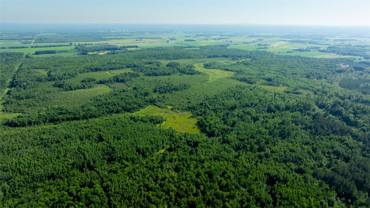 W5343 County Road X, Glen Flora WI 54526 - Land house for sale - MLS #1603306 - image8