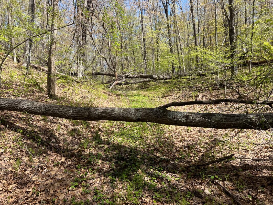 W6474 River Road, Trego WI 54888 - Land house for sale - MLS #1601245 - image11
