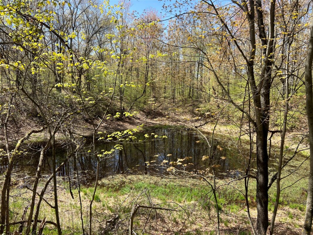 W6474 River Road, Trego WI 54888 - Land house for sale - MLS #1601245 - image12