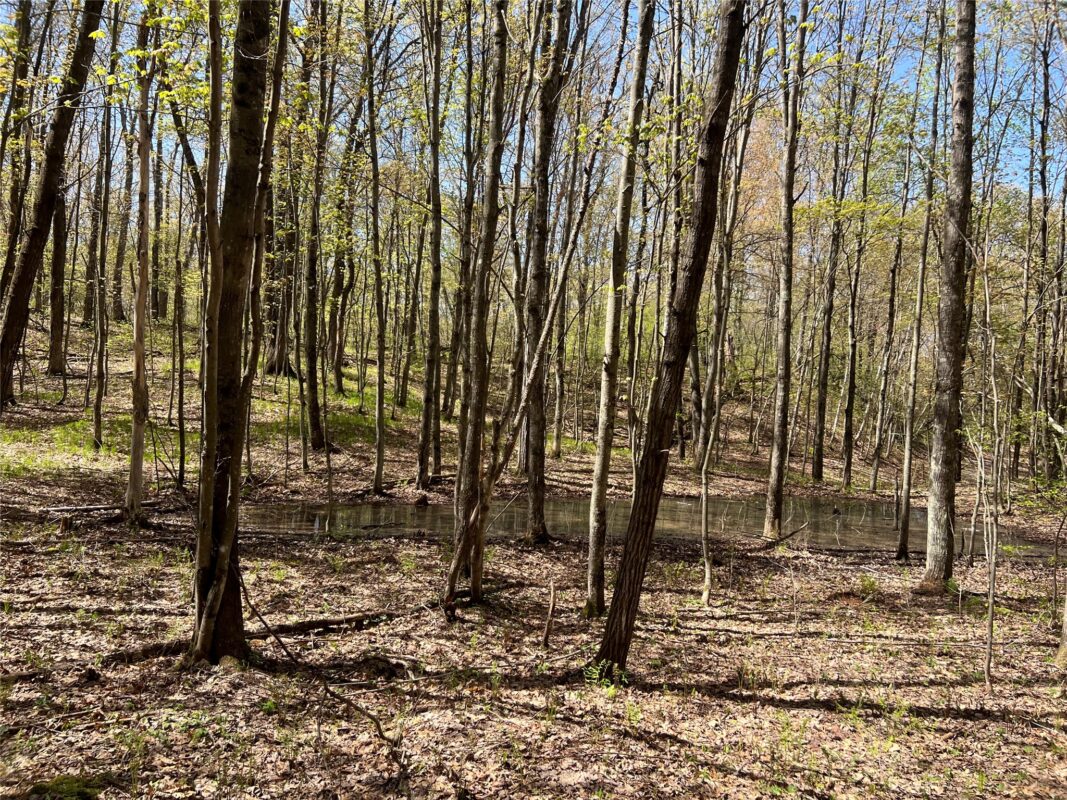 W6474 River Road, Trego WI 54888 - Land house for sale - MLS #1601245 - image13