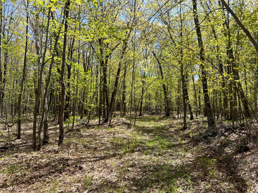 W6474 River Road, Trego WI 54888 - Land house for sale - MLS #1601245 - image15