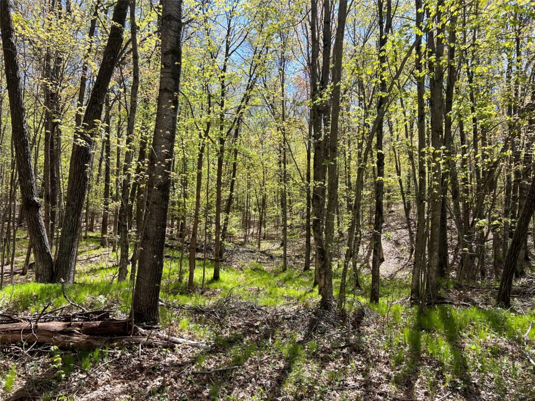 W6474 River Road, Trego WI 54888 - Land house for sale - MLS #1601245 - image16