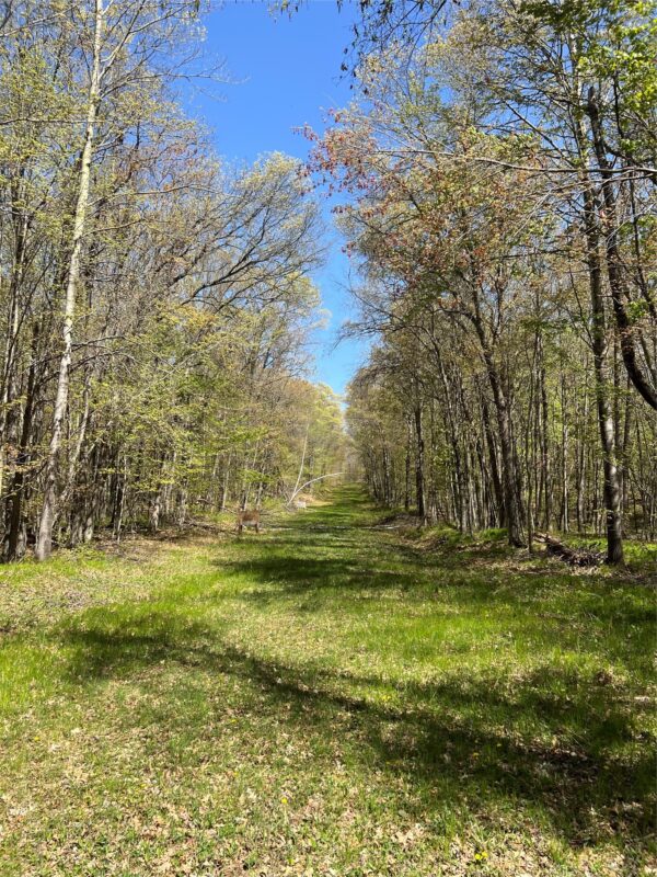 W6474 River Road, Trego WI 54888 - Land house for sale - MLS #1601245 - image17