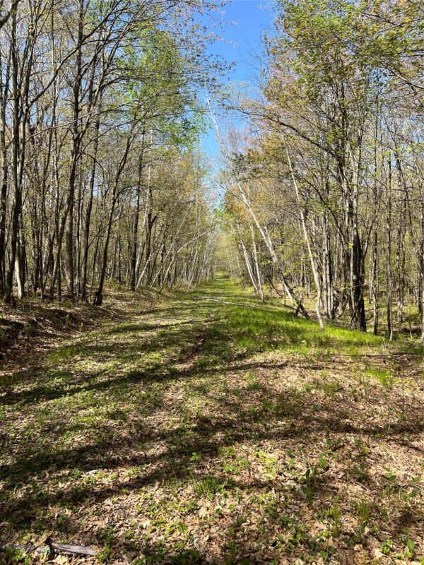 W6474 River Road, Trego WI 54888 - Land house for sale - MLS #1601245 - image20