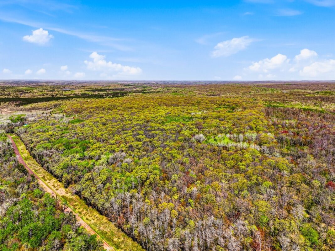 W6474 River Road, Trego WI 54888 - Land house for sale - MLS #1601245 - image4