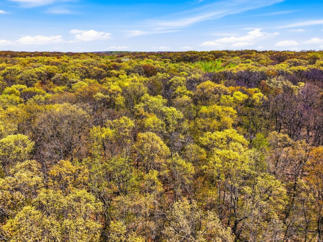W6474 River Road, Trego WI 54888 - Land house for sale - MLS #1601245 - image5