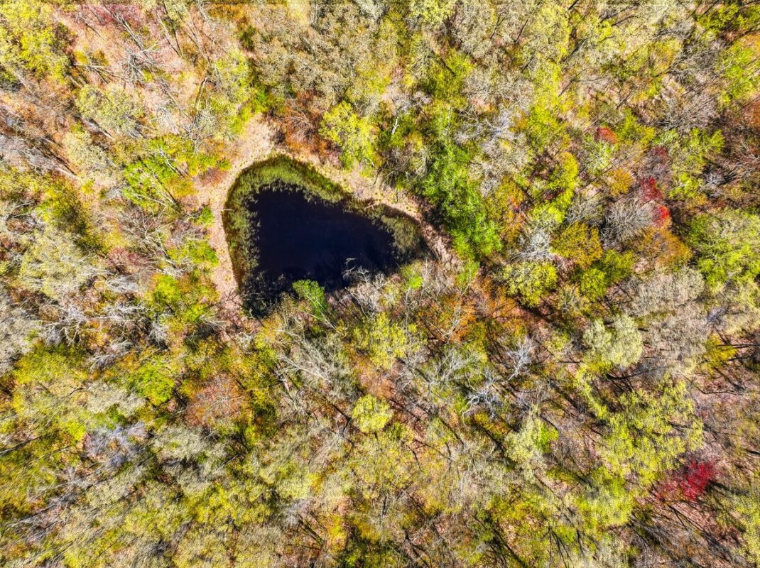W6474 River Road, Trego WI 54888 - Land house for sale - MLS #1601245 - image6