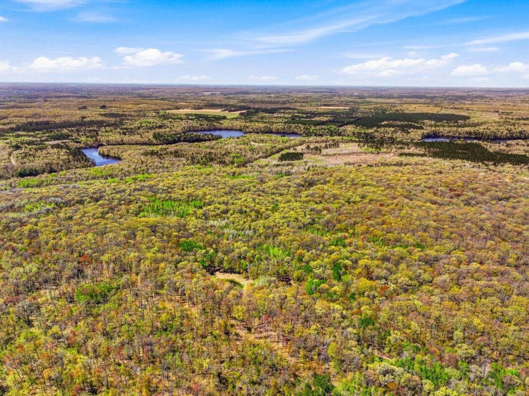 W6474 River Road, Trego WI 54888 - Land house for sale - MLS #1601245 - image7