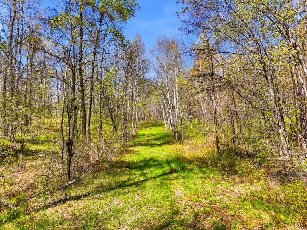 W6474 River Road, Trego WI 54888 - Land house for sale - MLS #1601245 - image9
