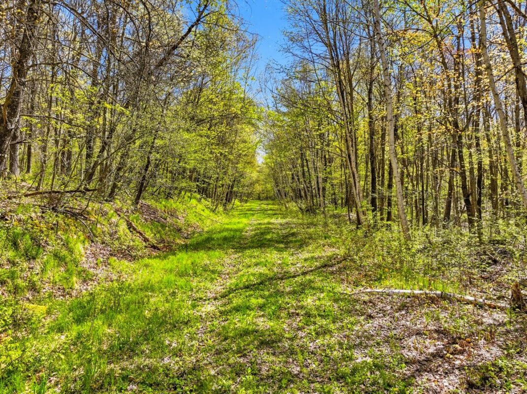 W6474 River Road, Trego WI 54888 - Land house for sale - MLS #1601245 - image10