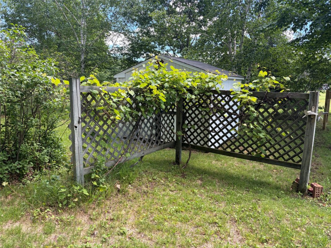 W6858 County Road H, Phillips WI 54555 - Residential house for sale - MLS #1602664 - image40