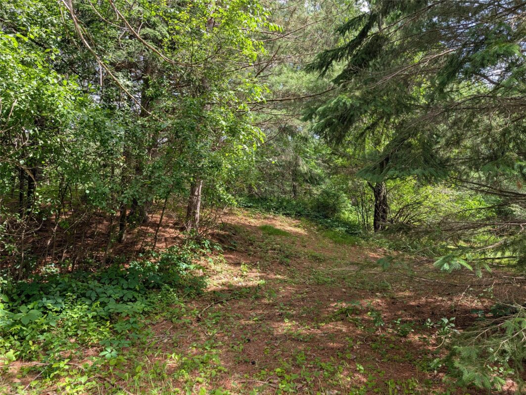 W6858 County Road H, Phillips WI 54555 - Residential house for sale - MLS #1602664 - image45