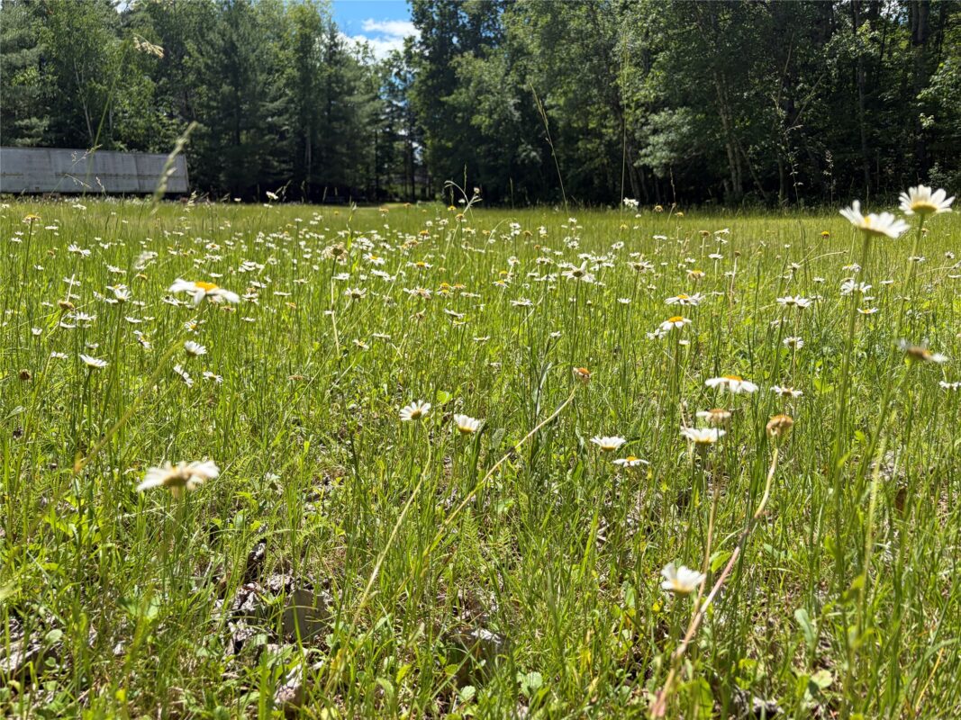 W6858 County Road H, Phillips WI 54555 - Residential house for sale - MLS #1602664 - image48