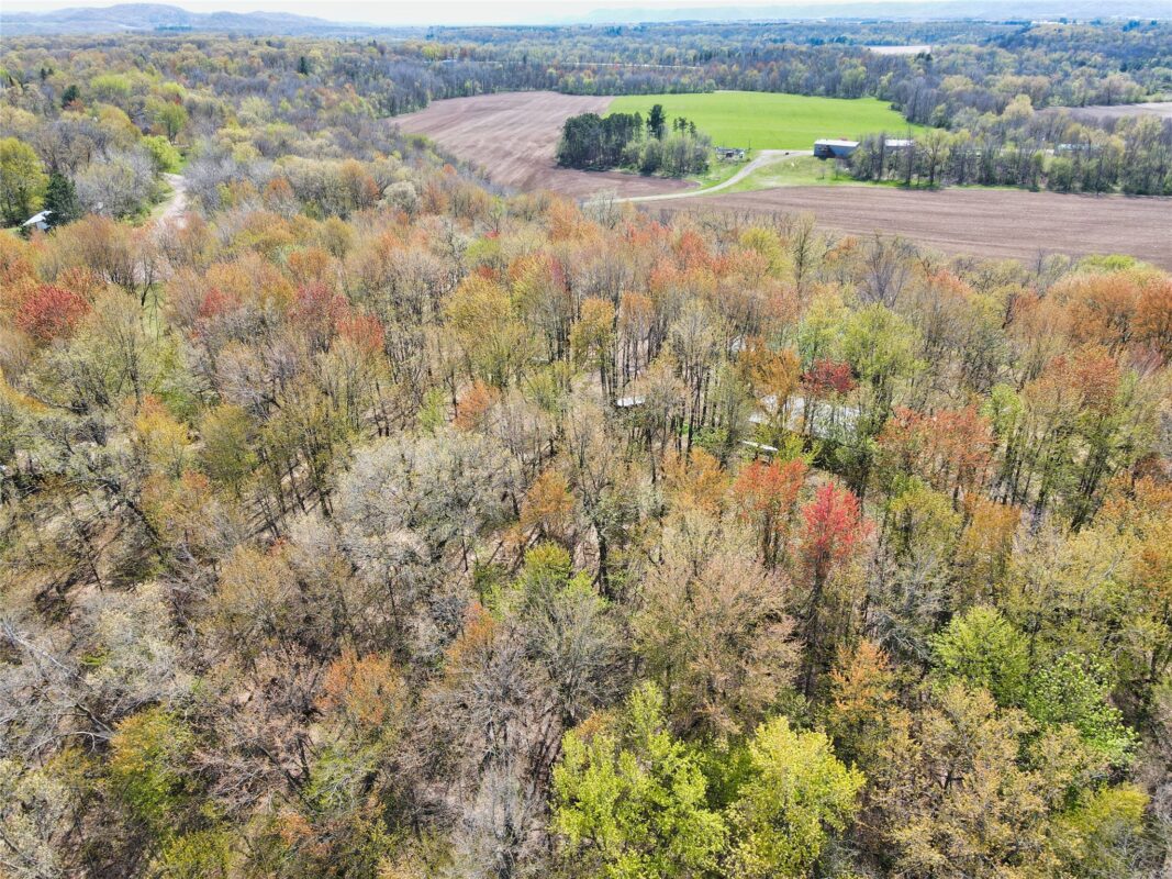 W7048 County Road D, Arkansaw WI 54721 - Residential house for sale - MLS #1600718 - image16