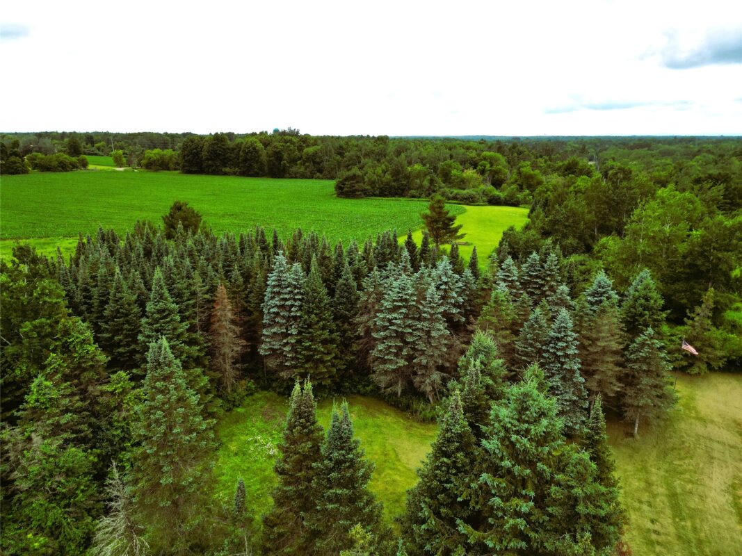 W7753 Old 14 Road, Ladysmith WI 54848 - Residential house for sale - MLS #1599107 - image30