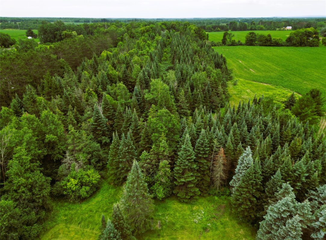 W7753 Old 14 Road, Ladysmith WI 54848 - Residential house for sale - MLS #1599107 - image32