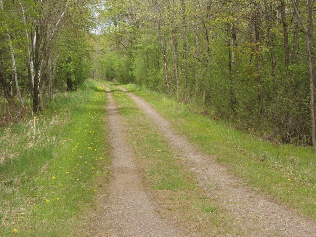W9002 Moonshine Alley, Catawba WI 54514 - Residential house for sale - MLS #1601811 - image41