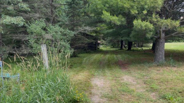 W9978 153rd Road Thorp WI 54771