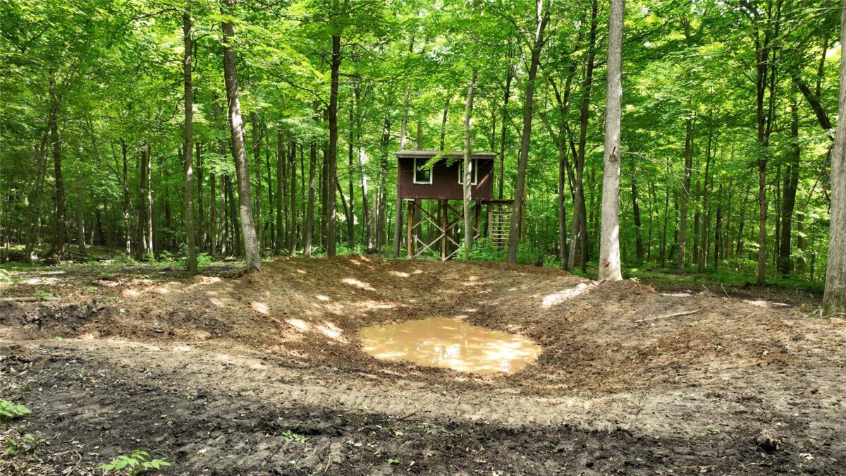 XX County Road Q, Downing WI 54734 - Land house for sale - MLS #1602322 - image2