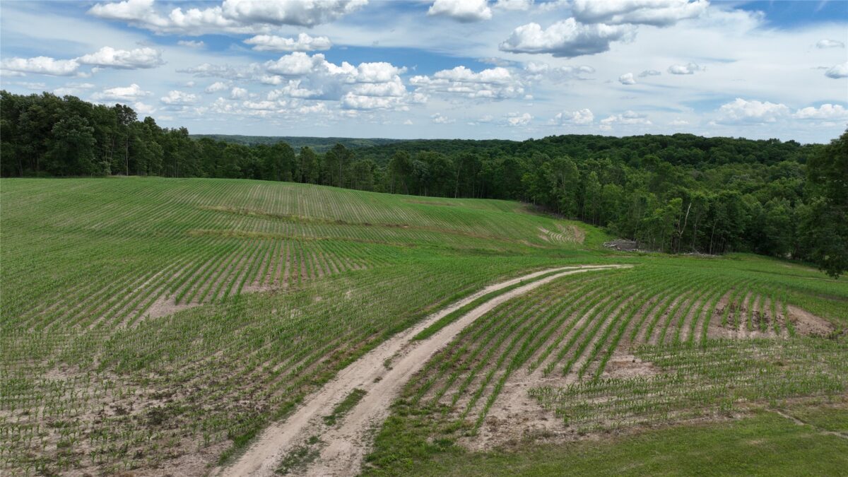 XX County Road Q, Downing WI 54734 - Land house for sale - MLS #1602322 - image13