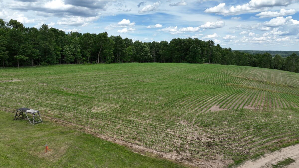XX County Road Q, Downing WI 54734 - Land house for sale - MLS #1602322 - image14