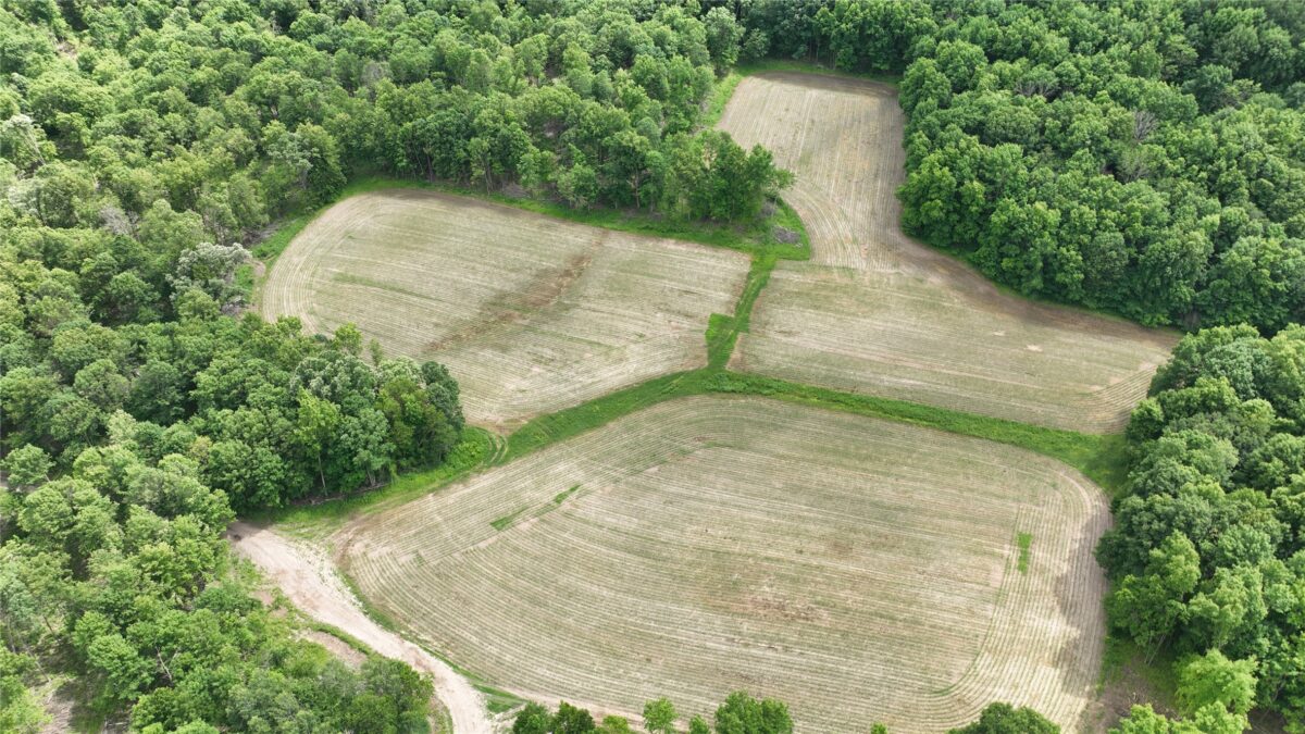 XX County Road Q, Downing WI 54734 - Land house for sale - MLS #1602322 - image15