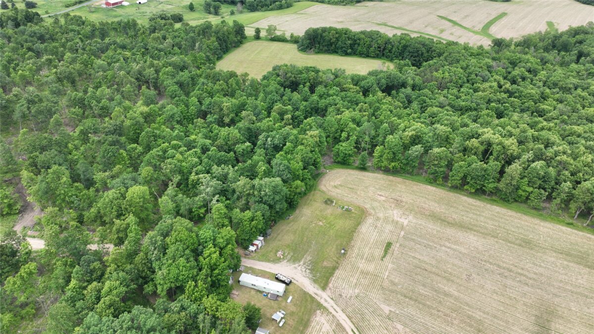 XX County Road Q, Downing WI 54734 - Land house for sale - MLS #1602322 - image17