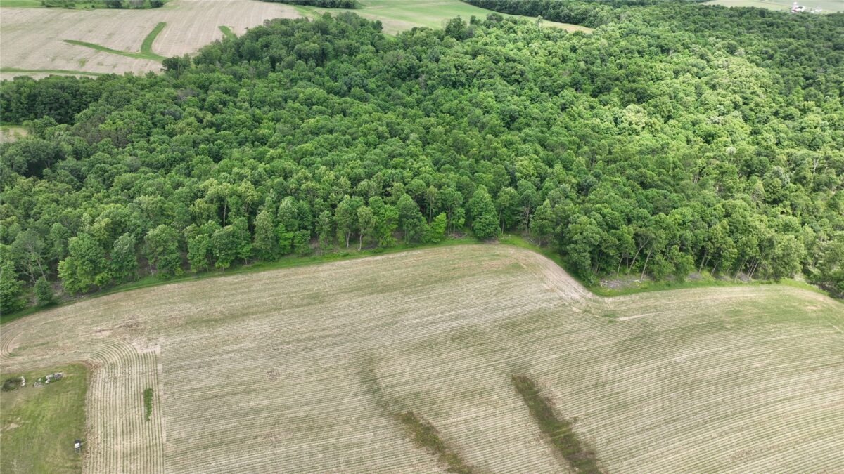XX County Road Q, Downing WI 54734 - Land house for sale - MLS #1602322 - image18