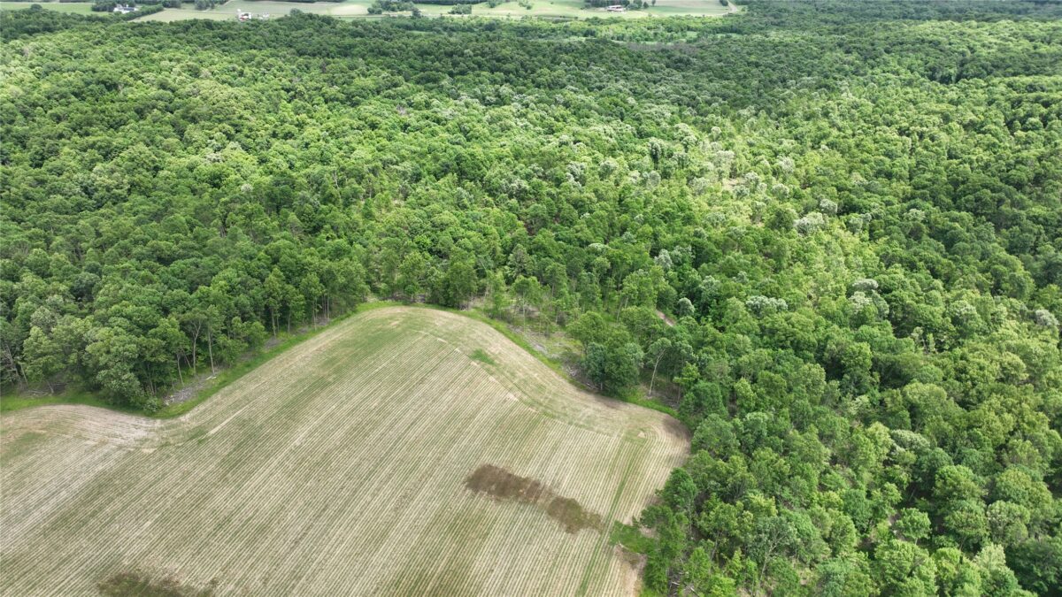 XX County Road Q, Downing WI 54734 - Land house for sale - MLS #1602322 - image19