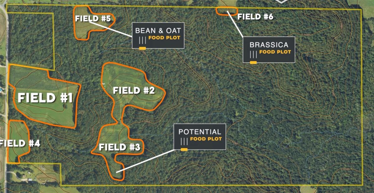 XX County Road Q, Downing WI 54734 - Land house for sale - MLS #1602322 - image3