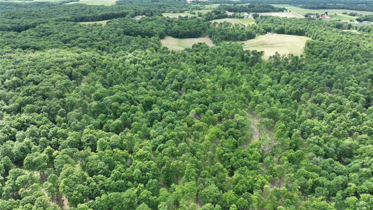 XX County Road Q, Downing WI 54734 - Land house for sale - MLS #1602322 - image21