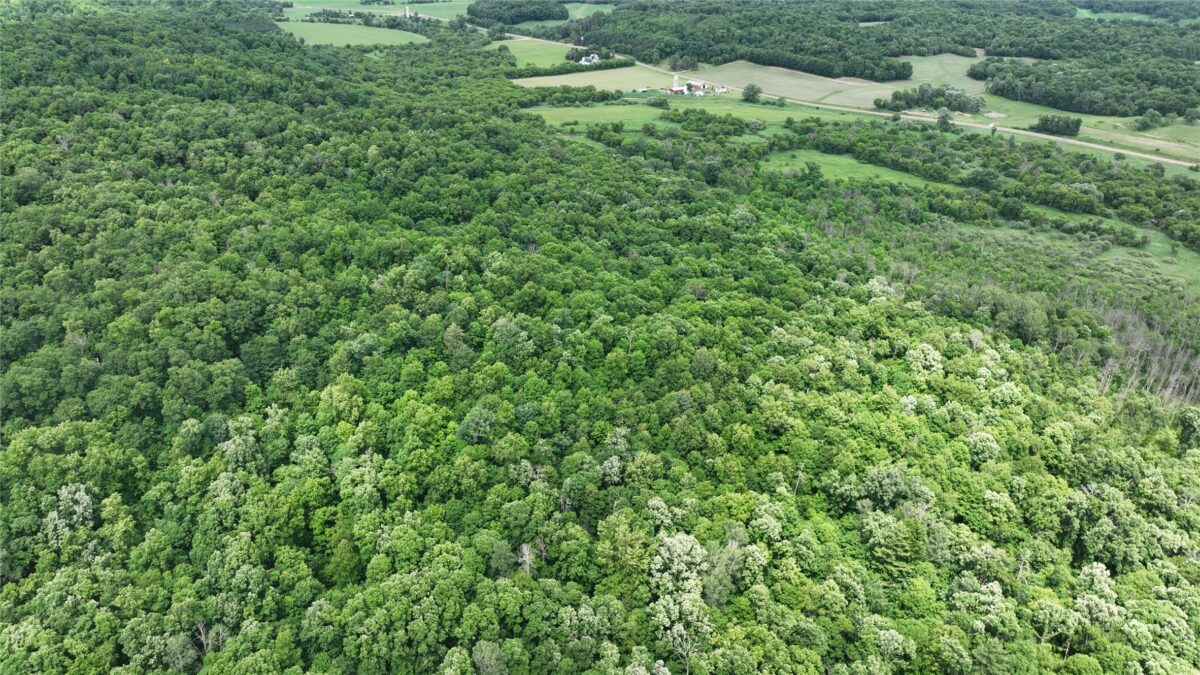 XX County Road Q, Downing WI 54734 - Land house for sale - MLS #1602322 - image22