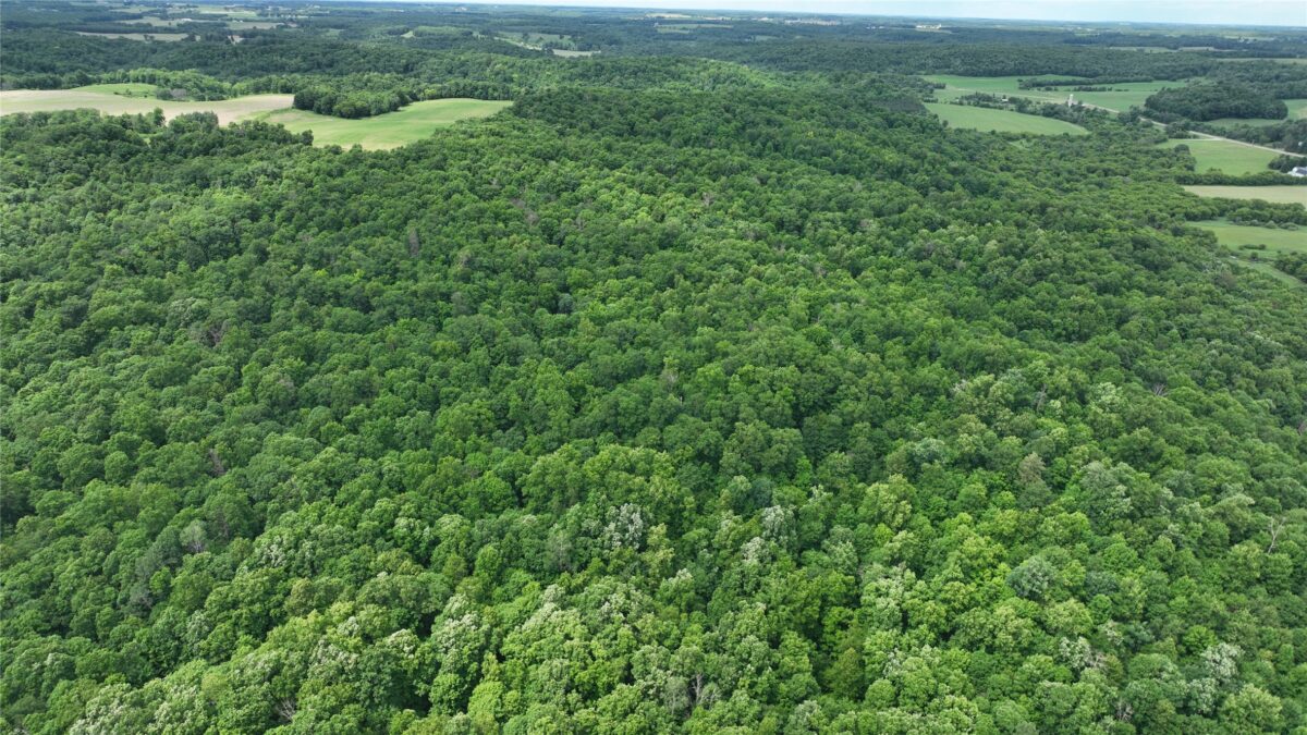 XX County Road Q, Downing WI 54734 - Land house for sale - MLS #1602322 - image23